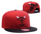 NBA Bulls snapback-7982