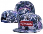 Supreme snapback-749