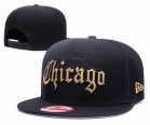 NBA Bulls snapback-8006