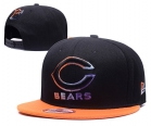 NFL Chicago Bears Snapback-76