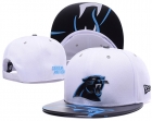 NFL Carolina Panthers hats-7250