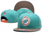 NFL Miami Dolphins snapback-806