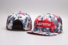 Supreme snapback-756