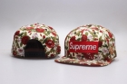 Supreme snapback-760