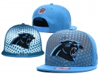 NFL Carolina Panthers hats-7255