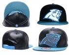 NFL Carolina Panthers hats-7258