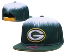 NFL Green Bay Packers snapback 803.jpg.tianxia