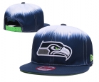 NFL Seattle Seahawks Snapback-800.jpg.tianxia