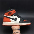 Air Jordan AJ1-8006