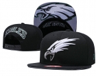 NFL Philadelphia Eagles hats-806.jpg.yongshun