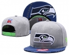 NFL Seattle Seahawks Snapback-807.jpg.jpg