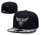 NBA Bulls snapback-8039.tianxia