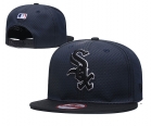 MLB Chicago White Sox-911.jpg.tianxia