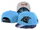 NFL Carolina Panthers hats-9002.jpg.0594