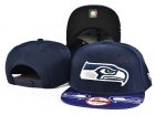 NFL Seattle Seahawks Snapback-900.jpg.0594