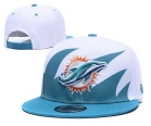 NFL Miami Dolphins-826