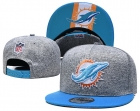 NFL Miami Dolphins-830