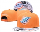 NFL Miami Dolphins-831