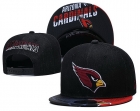 NFL ARIZONA CARDINALS snapback-813