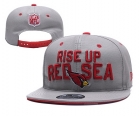 NFL ARIZONA CARDINALS snapback-820