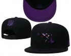 NFL baltimore Ravens snapback-59