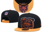 NFL CHICAGO BEARS snapback-83