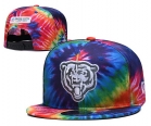 NFL CHICAGO BEARS snapback-89