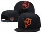 NFL CHICAGO BEARS snapback-97