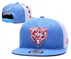 NFL CHICAGO BEARS snapback-102