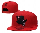 NFL TAMPA BAY BUCCANEERS snapback-735