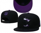 NFL MINNESOTA VIKINGS snapback-724