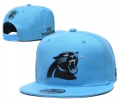 NFL CAROLINA PANTHERS snapback-738