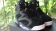 Jordan6 super men-5006-03