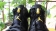 Jordan6 super men-5005-01