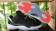 jordan11 low super men-5005